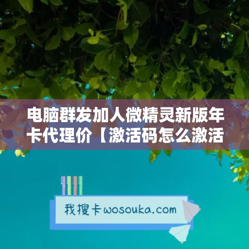 电脑群发加人微精灵新版年卡代理价【激活码怎么激活】