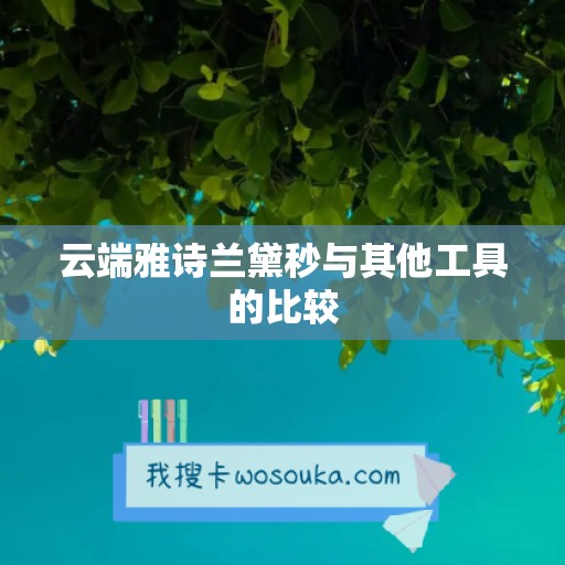 云端雅诗兰黛秒与其他工具的比较