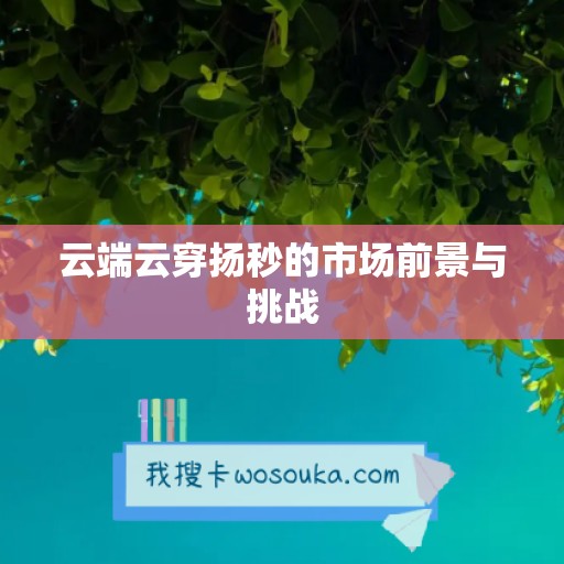 云端云穿扬秒的市场前景与挑战