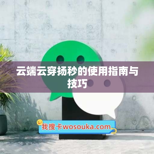 云端云穿扬秒的使用指南与技巧