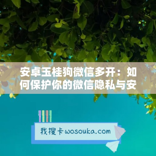 安卓玉桂狗微信多开：如何保护你的微信隐私与安全