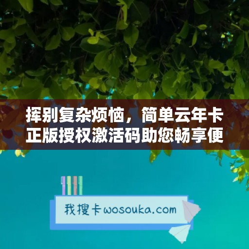 挥别复杂烦恼，简单云年卡正版授权激活码助您畅享便捷体验