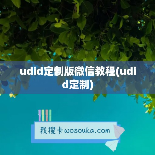 udid定制版微信教程(udid定制)