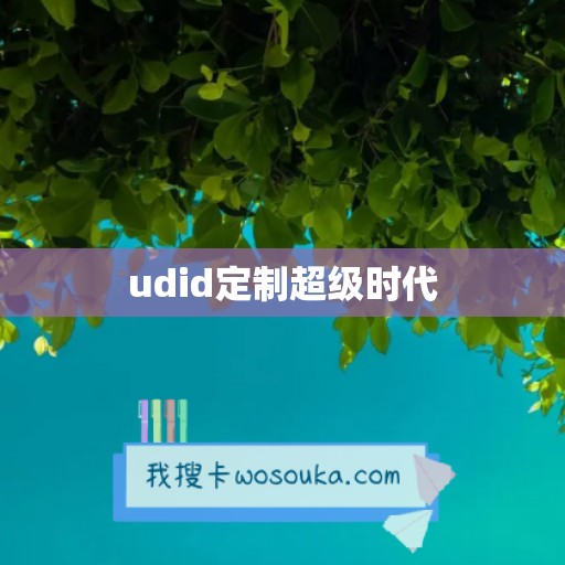 udid定制超级时代