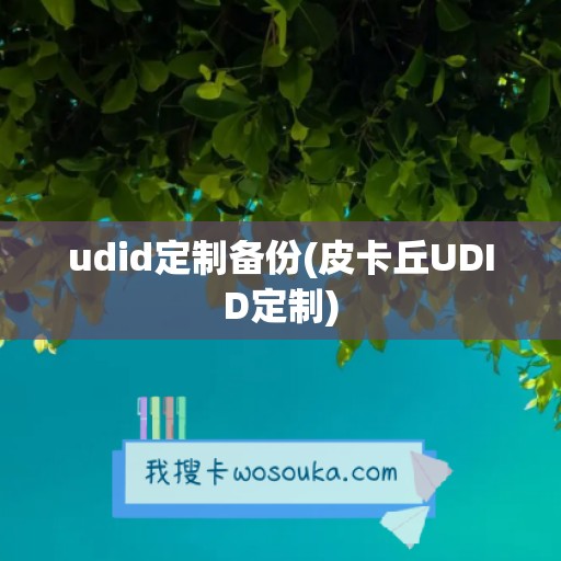 udid定制备份(皮卡丘UDID定制)