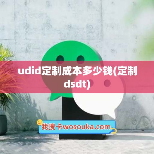 udid定制成本多少钱(定制dsdt)