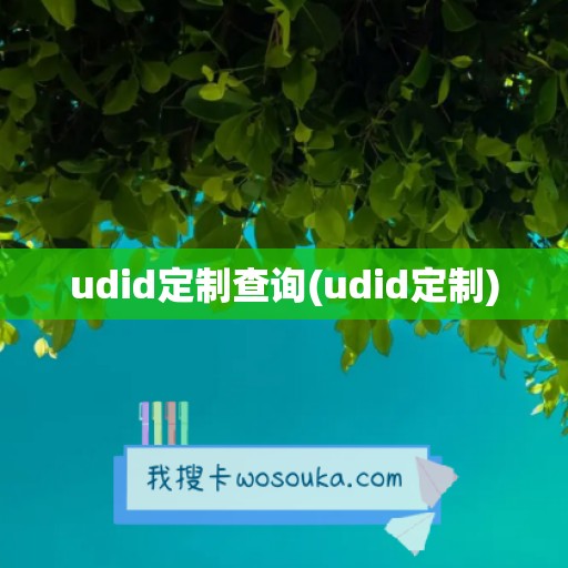 udid定制查询(udid定制)