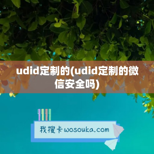 udid定制的(udid定制的微信安全吗)