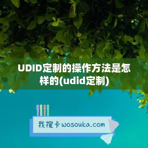 UDID定制的操作方法是怎样的(udid定制)