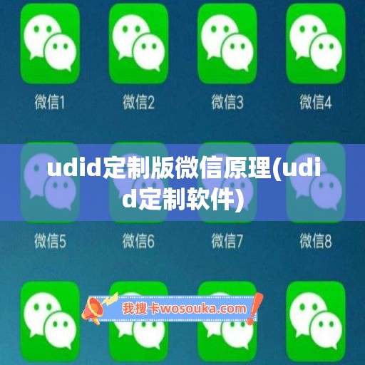 udid定制版微信原理(udid定制软件)