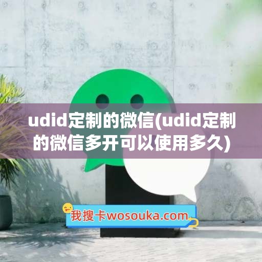 udid定制的微信(udid定制的微信多开可以使用多久)