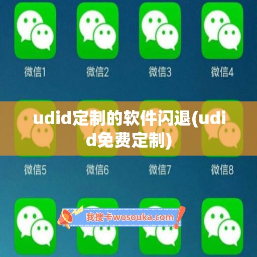 udid定制的软件闪退(udid免费定制)