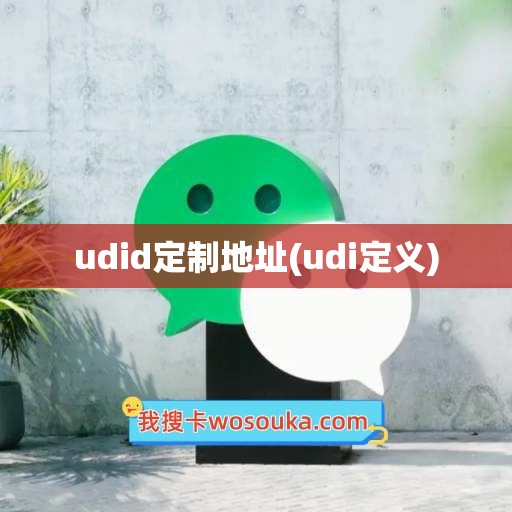 udid定制地址(udi定义)