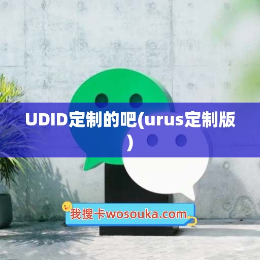 UDID定制的吧(urus定制版)