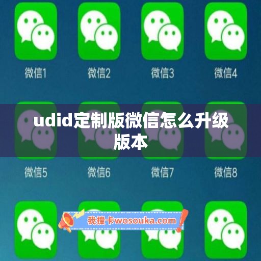 udid定制版微信怎么升级版本