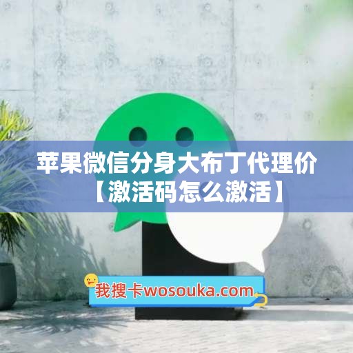 苹果微信分身大布丁代理价【激活码怎么激活】