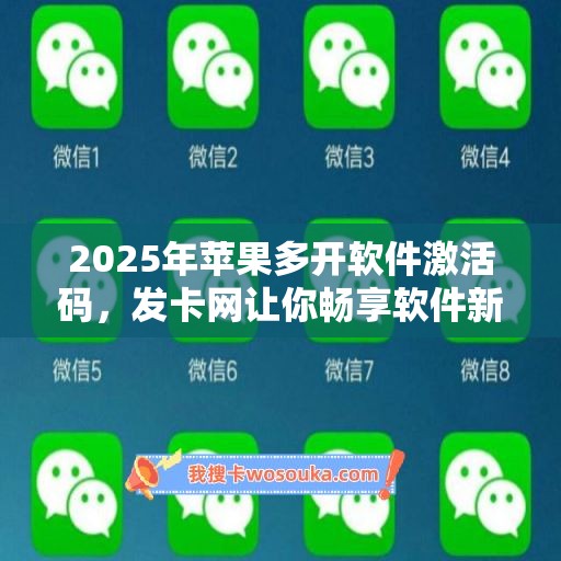 2025年苹果多开软件激活码，发卡网让你畅享软件新升级！