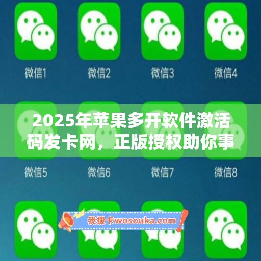 2025年苹果多开软件激活码发卡网，正版授权助你事业腾飞！