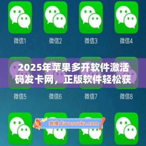 2025年苹果多开软件激活码发卡网，正版软件轻松获取！