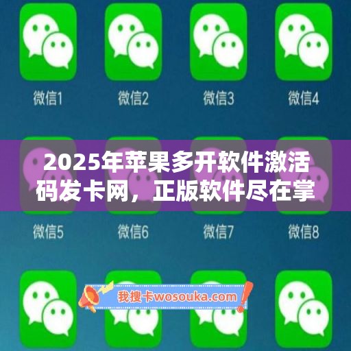 2025年苹果多开软件激活码发卡网，正版软件尽在掌握！