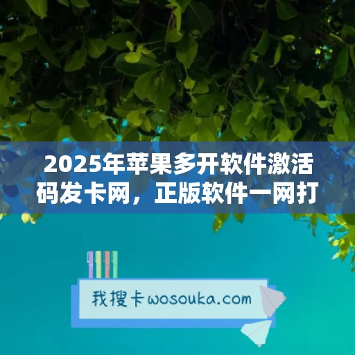 2025年苹果多开软件激活码发卡网，正版软件一网打尽无压力！