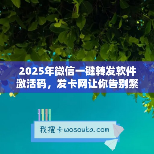 2025年微信一键转发软件激活码，发卡网让你告别繁琐激活步骤！