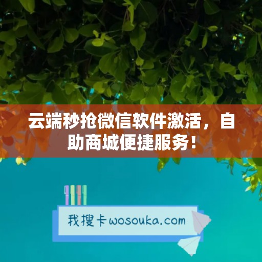 云端秒抢微信软件激活，自助商城便捷服务！