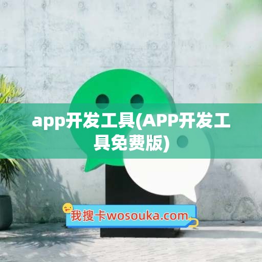 app开发工具(APP开发工具免费版)