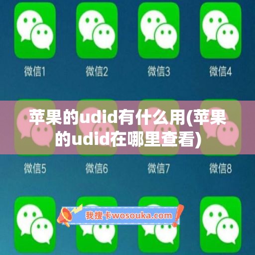 苹果的udid有什么用(苹果的udid在哪里查看)