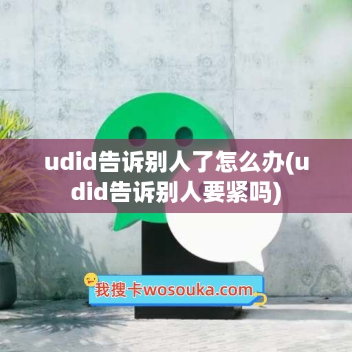 udid告诉别人了怎么办(udid告诉别人要紧吗)