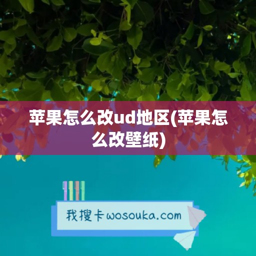 苹果怎么改ud地区(苹果怎么改壁纸)