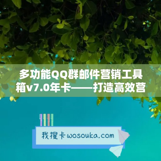 多功能QQ群邮件营销工具箱v7.0年卡——打造高效营销利器