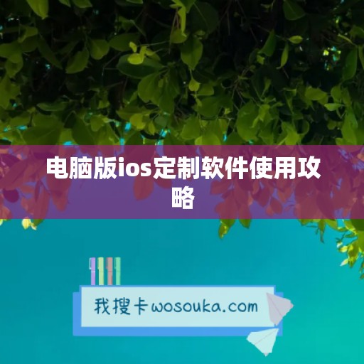 电脑版ios定制软件使用攻略