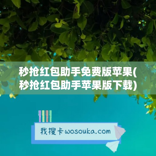 秒抢红包助手免费版苹果(秒抢红包助手苹果版下载)