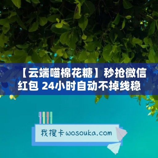 【云端喵棉花糖】秒抢微信红包 24小时自动不掉线稳定