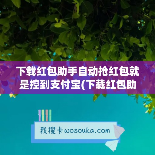 下载红包助手自动抢红包就是控到支付宝(下载红包助手自动抢红包)