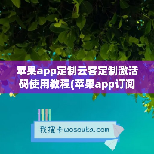 苹果app定制云客定制激活码使用教程(苹果app订阅付费怎么申请退款)