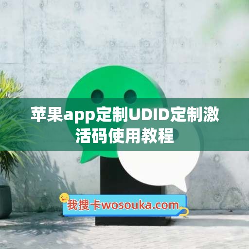 苹果app定制UDID定制激活码使用教程