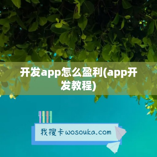 开发app怎么盈利(app开发教程)