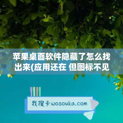 苹果桌面软件隐藏了怎么找出来(应用还在 但图标不见了)