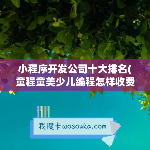 小程序开发公司十大排名(童程童美少儿编程怎样收费)