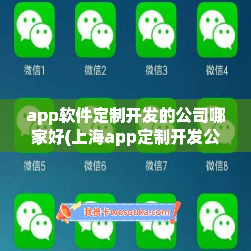 app软件定制开发的公司哪家好(上海app定制开发公司)