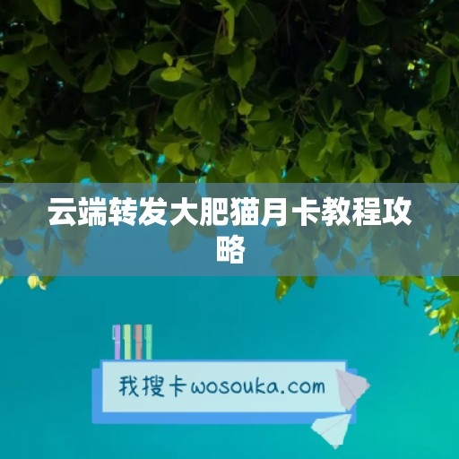 云端转发大肥猫月卡教程攻略