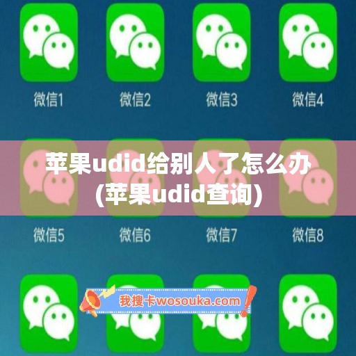 苹果udid给别人了怎么办(苹果udid查询)