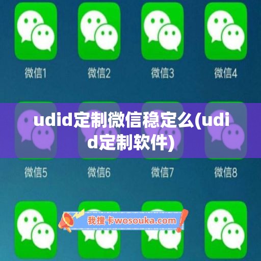 udid定制微信稳定么(udid定制软件)