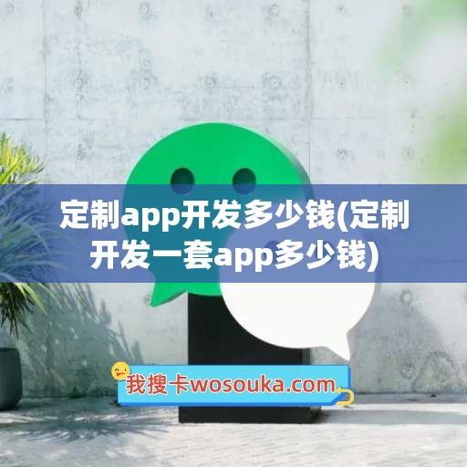 定制app开发多少钱(定制开发一套app多少钱)