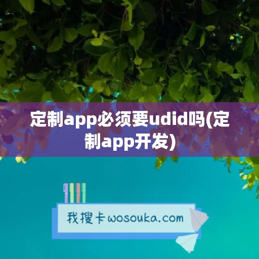 定制app必须要udid吗(定制app开发)