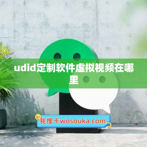 udid定制软件虚拟视频在哪里