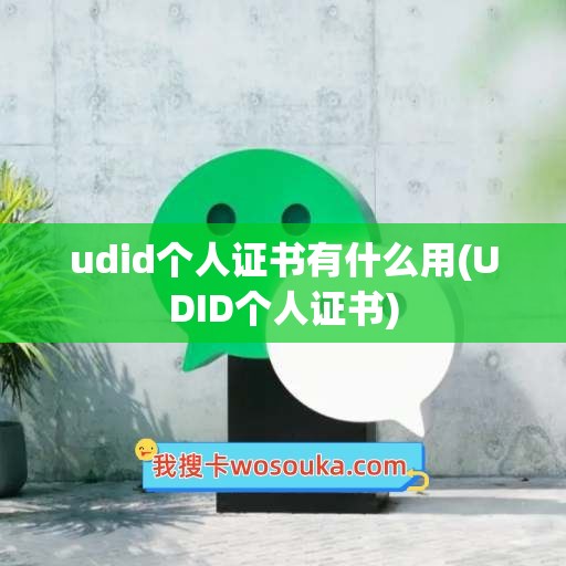 udid个人证书有什么用(UDID个人证书)