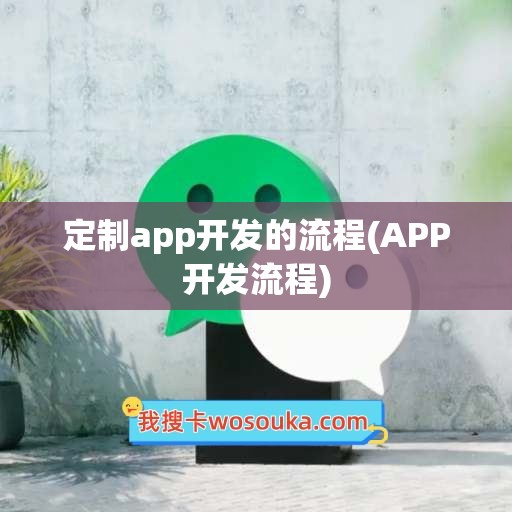 定制app开发的流程(APP开发流程)